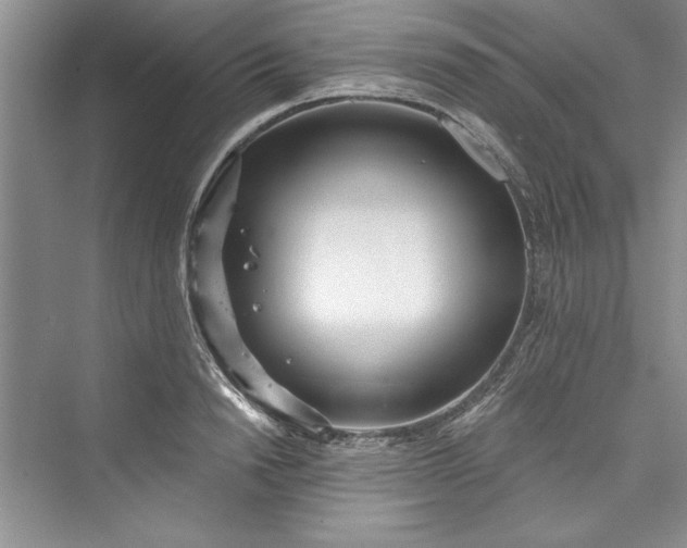 X0000073420846200608111349