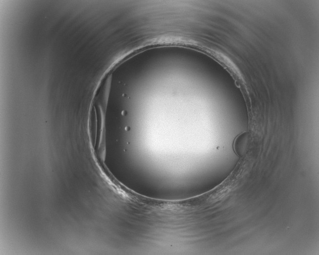 X0000073420847200608111349