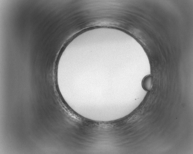 X0000073420848200608111349