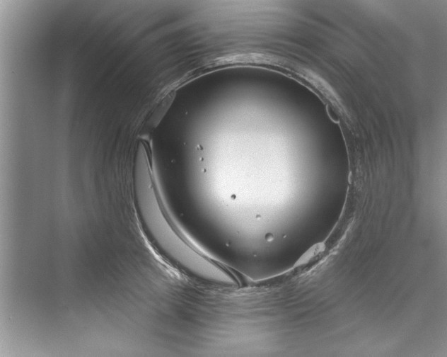 X0000073420849200608111349