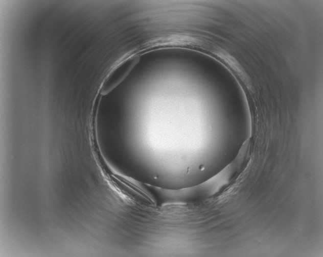 X0000073420850200608111349