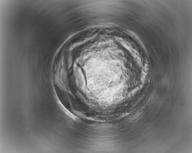 X0000073420851200608111349