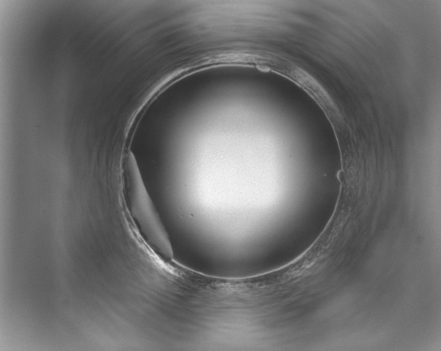 X0000073420852200608111349