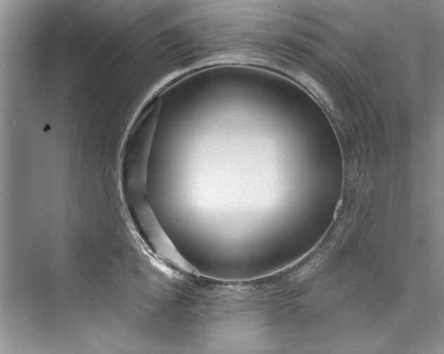 X0000073420854200608111349