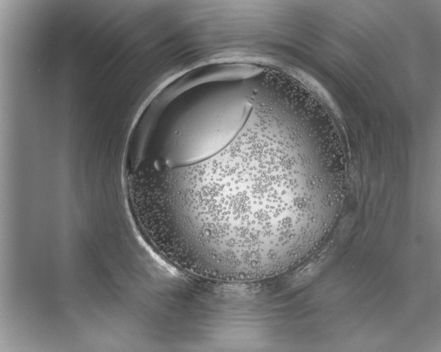 X0000073420855200608111349