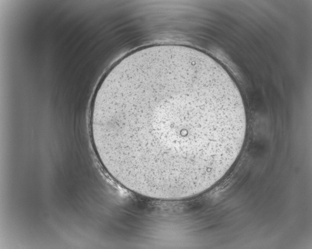 X0000073420856200608111349