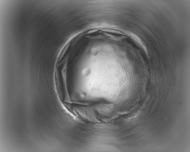 X0000073420863200608111349