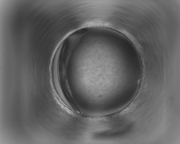 X0000073420864200608111349