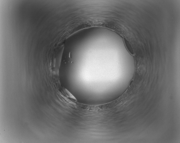 X0000073420866200608111348