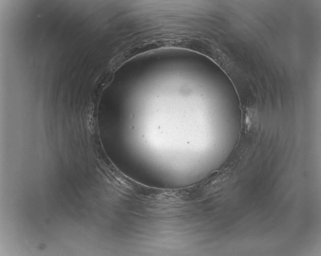 X0000073420867200608111348