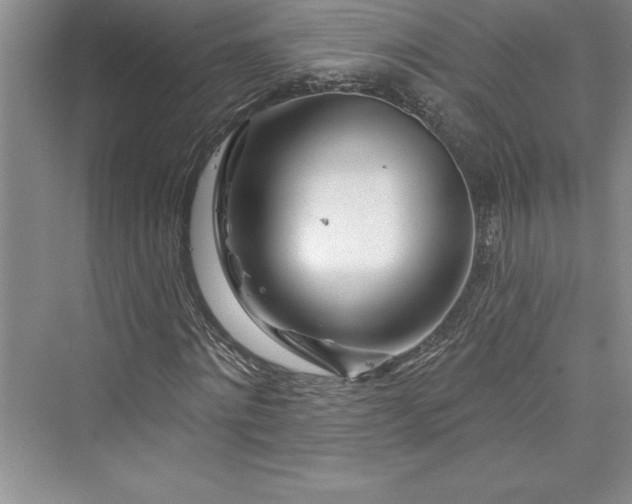 X0000073420868200608111348