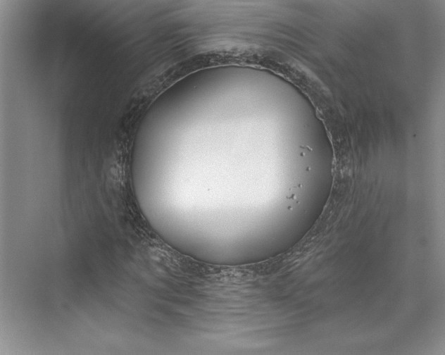 X0000073420869200608111348