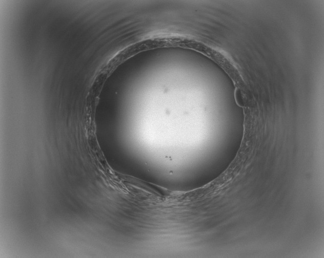 X0000073420871200608111348