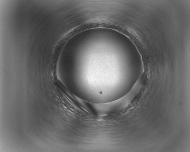 X0000073420872200608111348