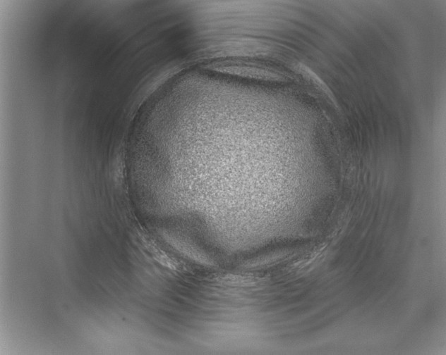 X0000073420874200608111348