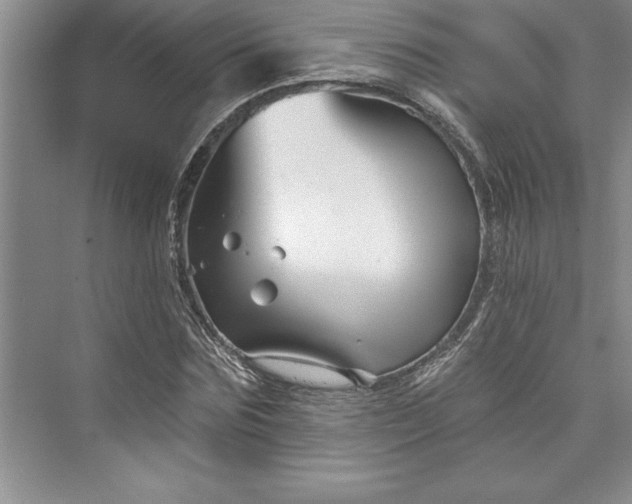 X0000073420875200608111348