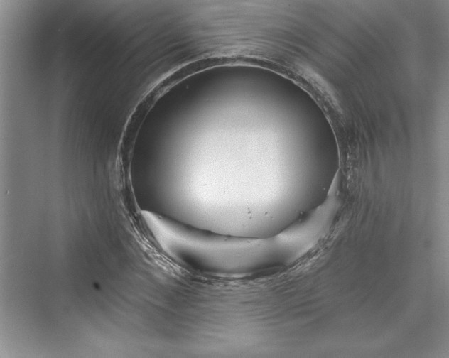 X0000073420876200608111348