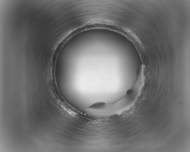 X0000073420877200608111348