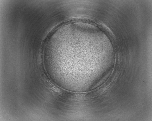 X0000073420878200608111348