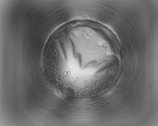 X0000073420879200608111348