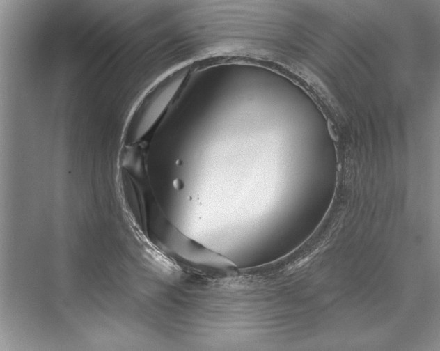 X0000073420880200608111348