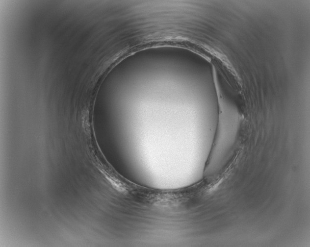 X0000073420881200608111348