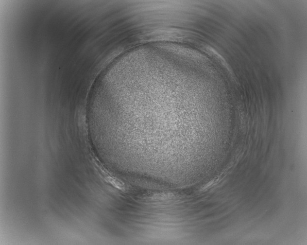 X0000073420882200608111348