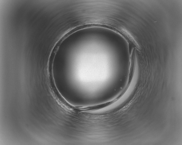 X0000073420884200608111348