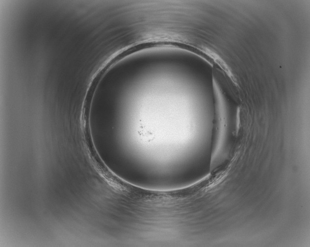 X0000073420885200608111348