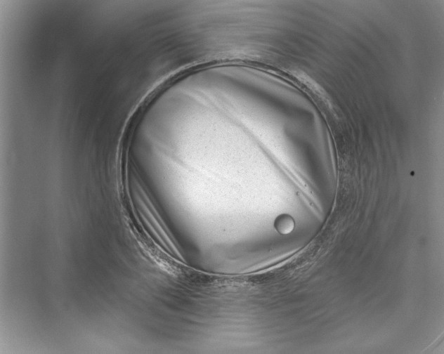 X0000073420886200608111348