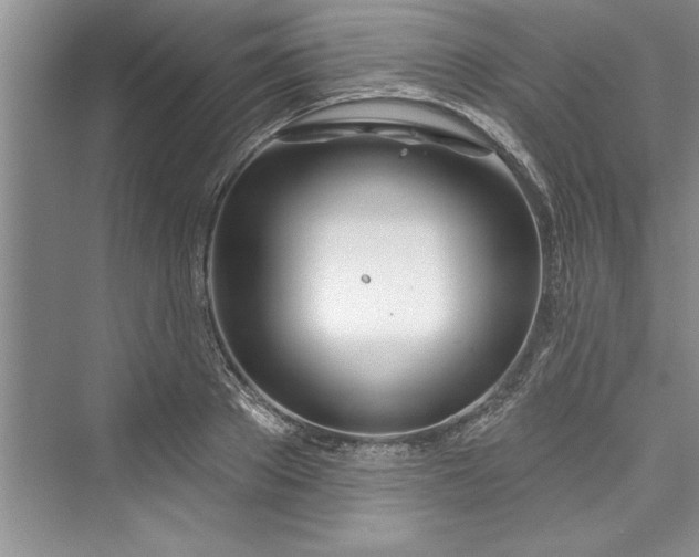 X0000073420889200608111348