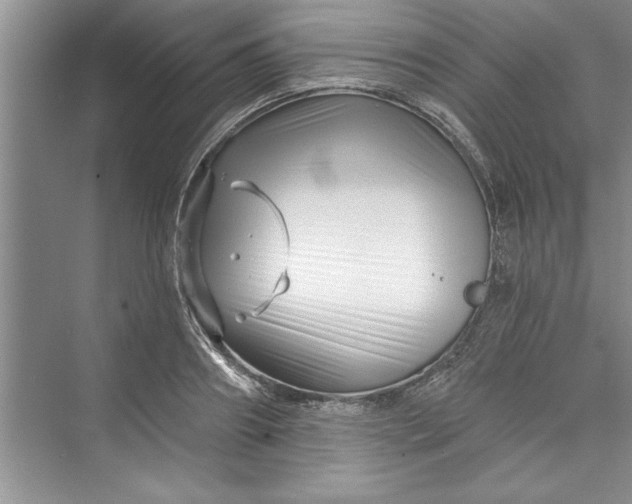 X0000073420890200608111348