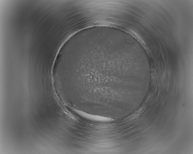 X0000073420891200608111348