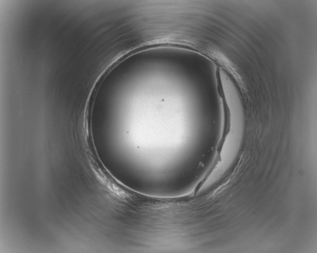 X0000073420892200608111348