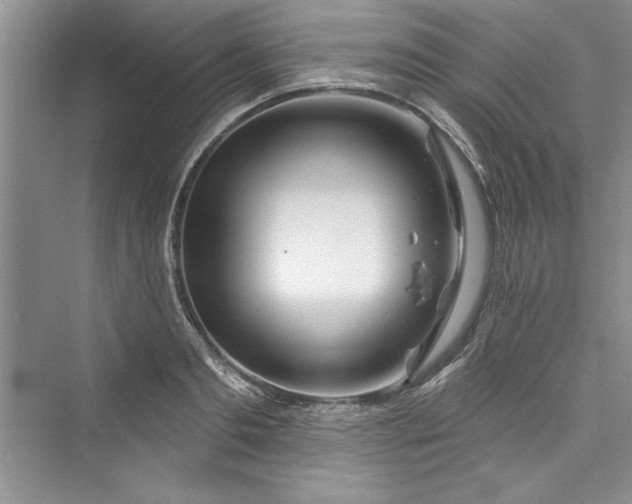 X0000073420893200608111348