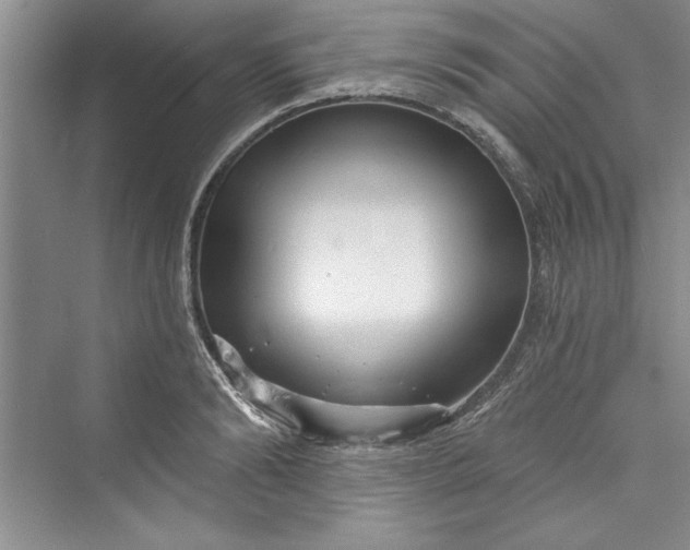 X0000073420894200608111348