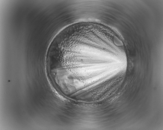 X0000073420895200608111348