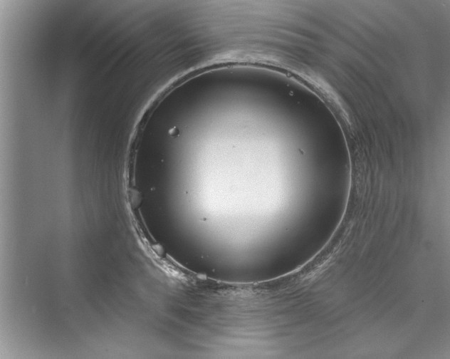 X0000073420896200608111348