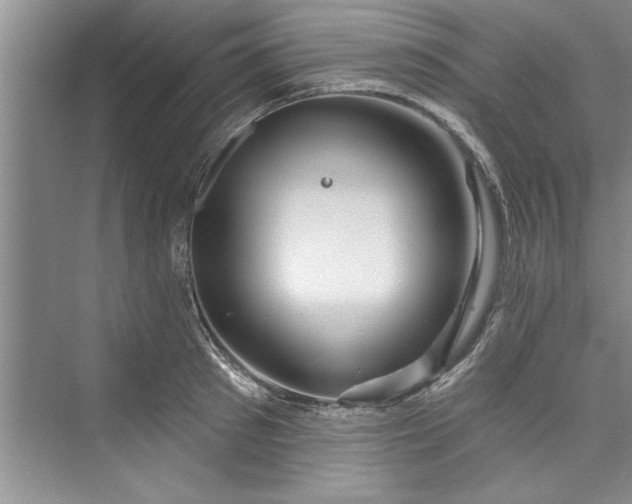 X0000073420897200608111348