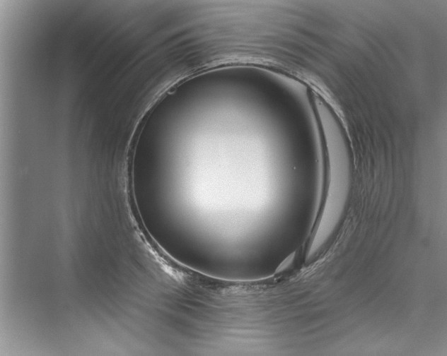 X0000073420898200608111348