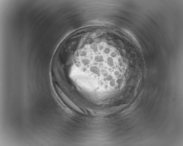 X0000073420899200608111348