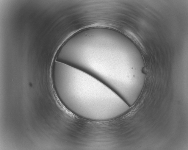 X0000073420900200608111348