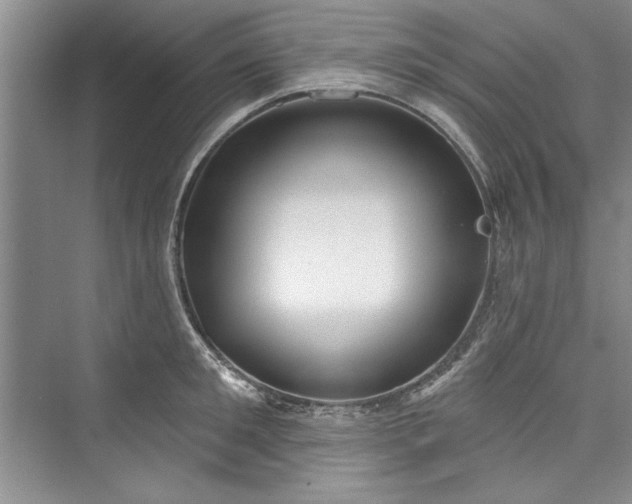 X0000073420901200608111348