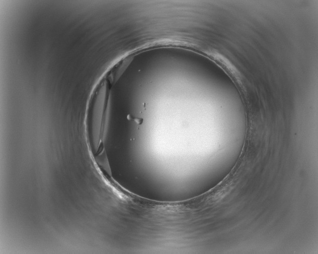 X0000073420902200608111348