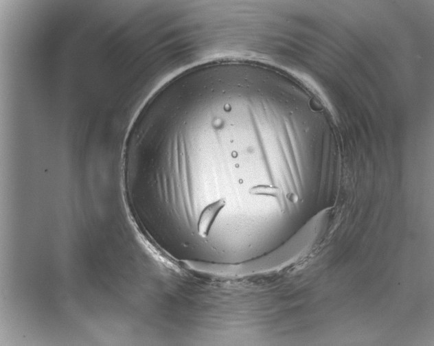 X0000073420903200608111348