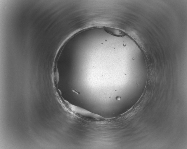 X0000073420904200608111348