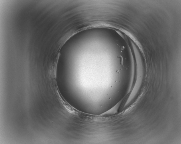 X0000073420905200608111348