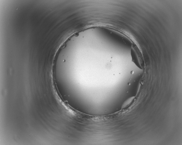 X0000073420906200608111348