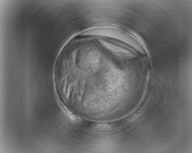 X0000073420907200608111348