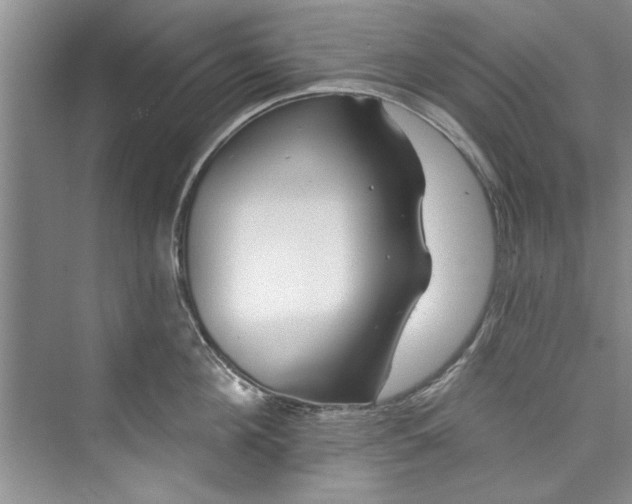 X0000073420908200608111348